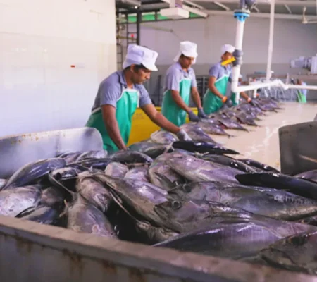 FISHERIES TRADING
